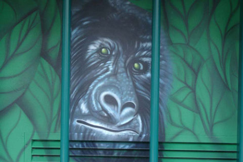 Affe ‚Fassadengestaltung‘